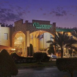 Montrose - A Mayfair Collection Hotel